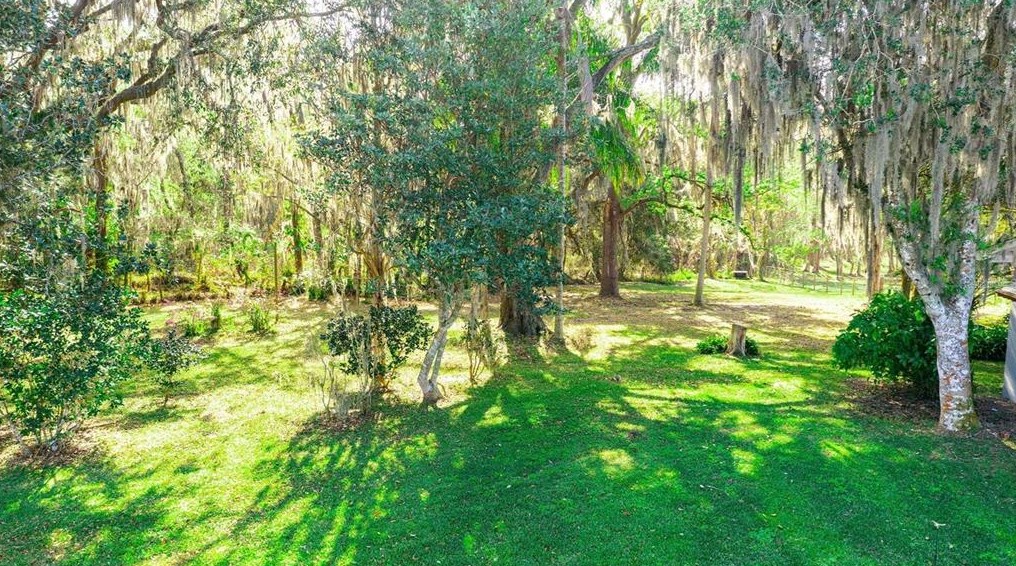 14748 Matt Barthle Rd, Dade City FL  33525-7332 exterior