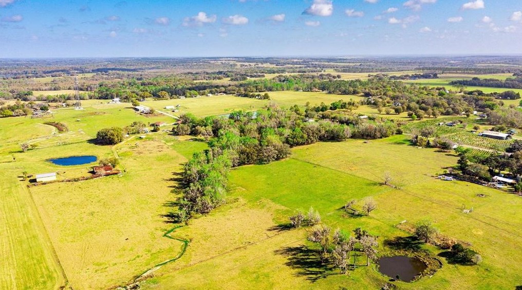 14748 Matt Barthle Rd, Dade City FL  33525-7332 exterior