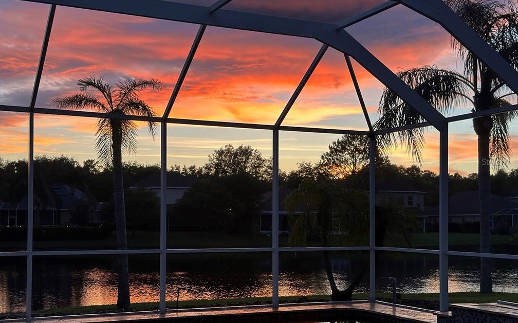 17922 Arbor Haven Dr, Tampa FL  33647-2917 exterior