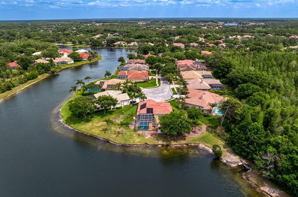 17922 Arbor Haven Dr, Tampa FL  33647-2917 exterior