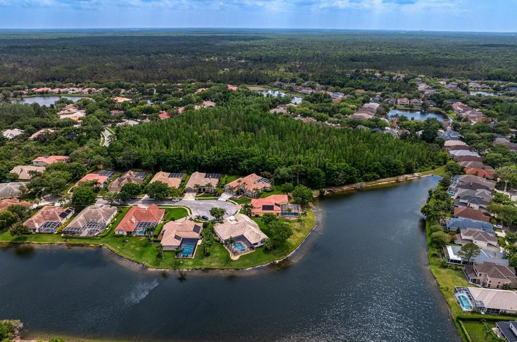 17922 Arbor Haven Dr, Tampa FL  33647-2917 exterior