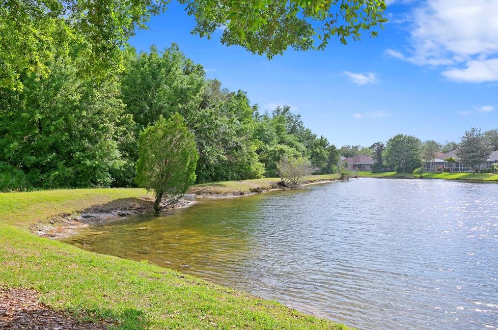 17922 Arbor Haven Dr, Tampa FL  33647-2917 exterior