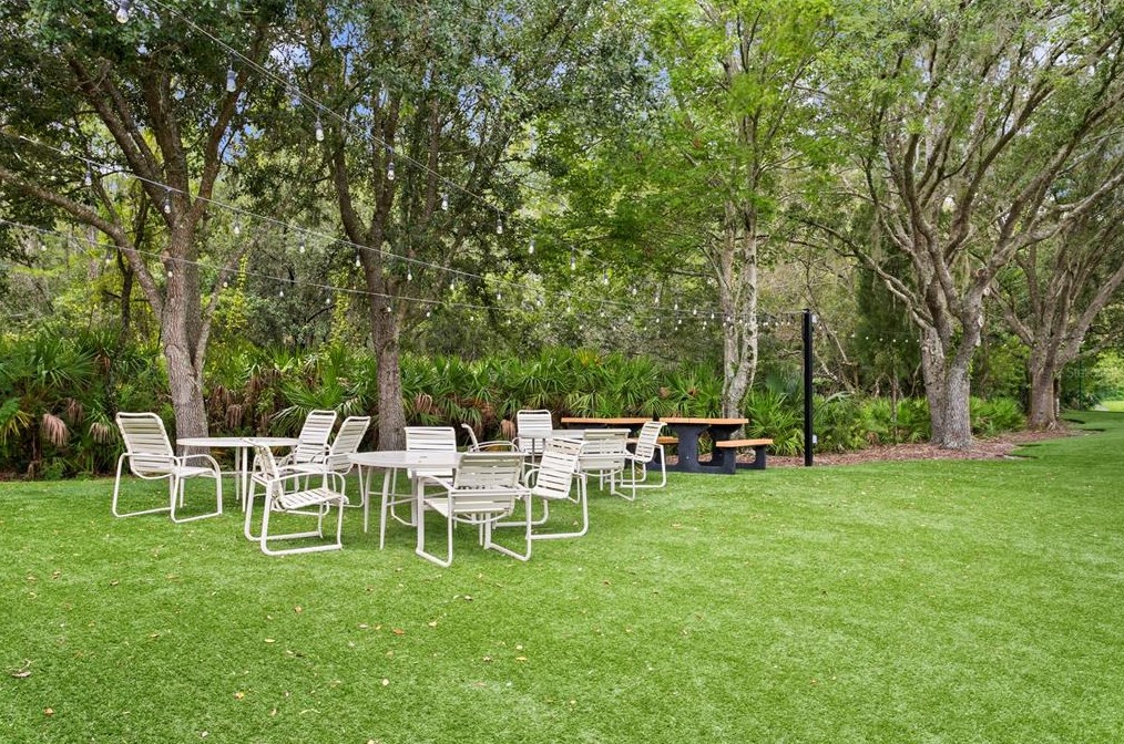 17922 Arbor Haven Dr, Tampa FL  33647-2917 exterior