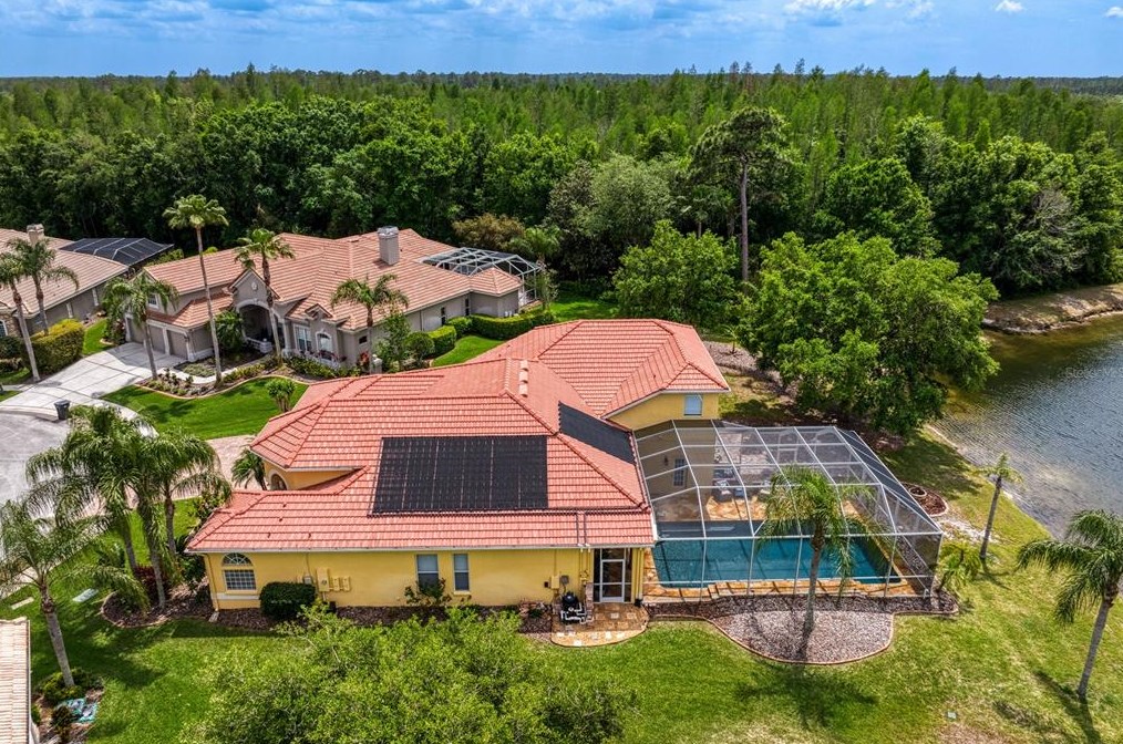 17922 Arbor Haven Dr, Tampa FL  33647-2917 exterior