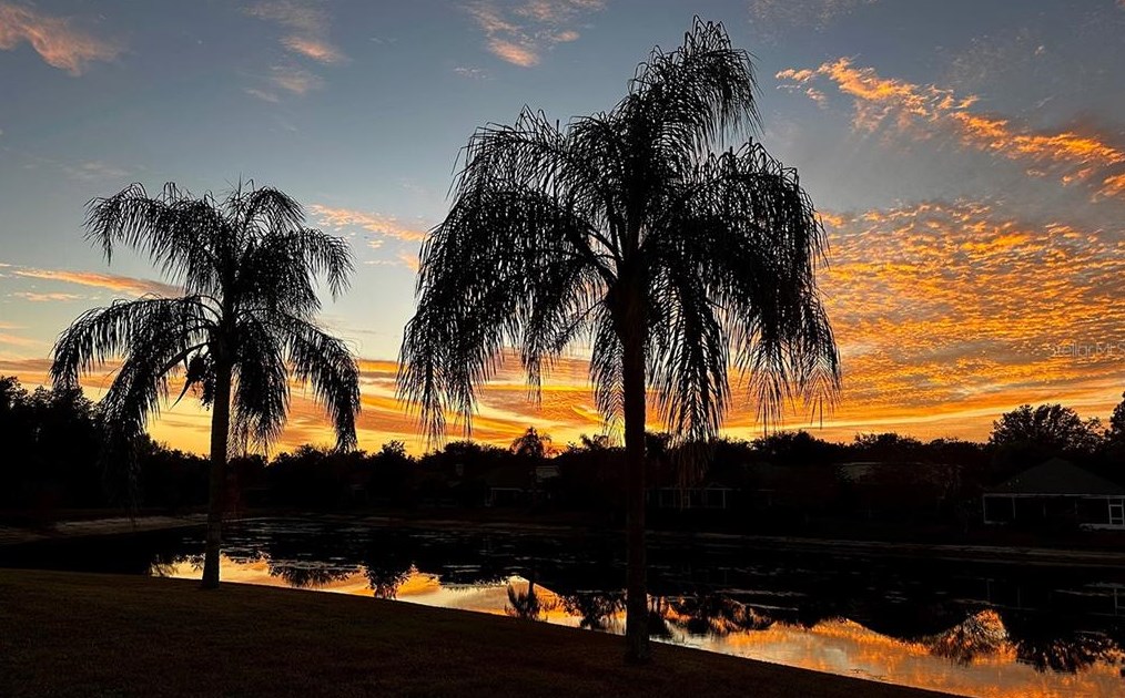 17922 Arbor Haven Dr, Tampa FL  33647-2917 exterior