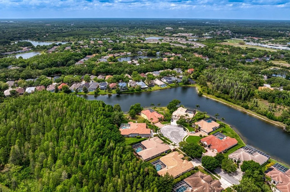 17922 Arbor Haven Dr, Tampa FL  33647-2917 exterior