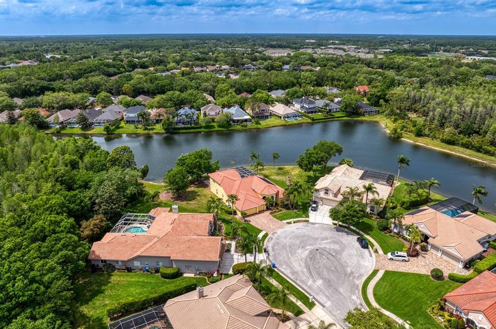 17922 Arbor Haven Dr, Tampa FL  33647-2917 exterior