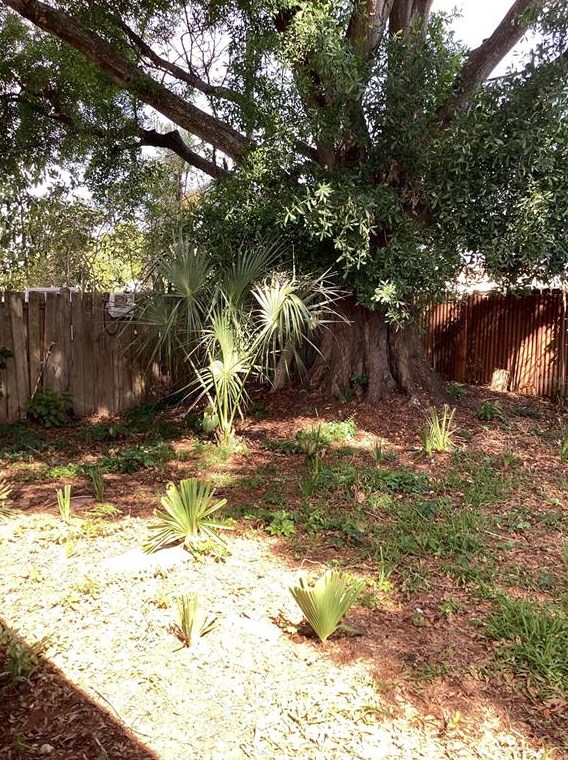 4521 Minnehaha St, Tampa FL 33604-5736 exterior