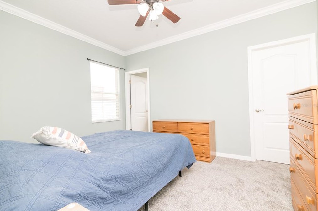 30618 Latourette Dr, Zephyrhills FL 33545-7012 exterior