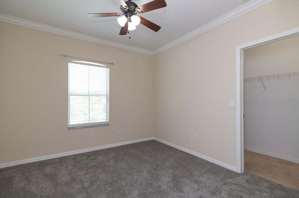 30618 Latourette Dr, Zephyrhills FL 33545-7012 exterior