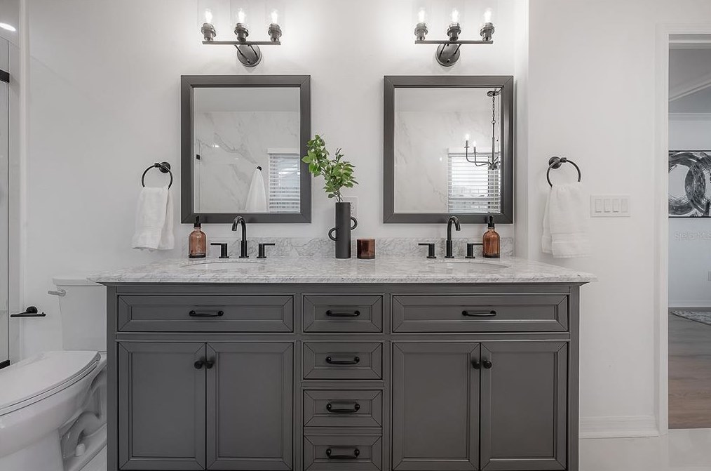 1046 Sylvia Ln, Tampa FL  33613-2007 exterior