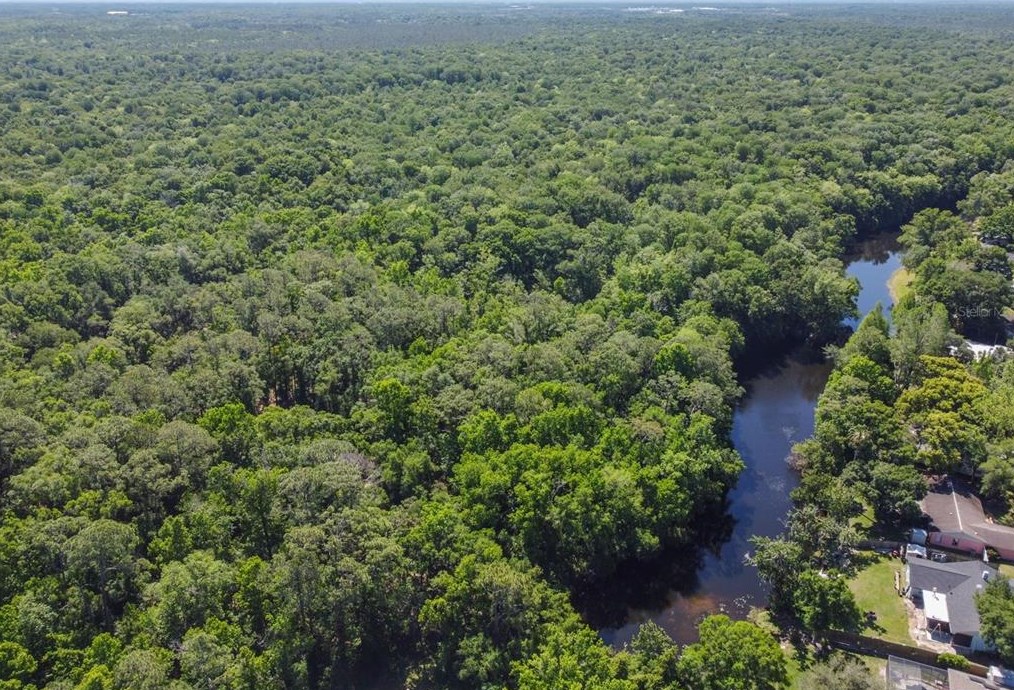 4809 Parkway Blvd, Land O Lakes FL 34639-4133 exterior