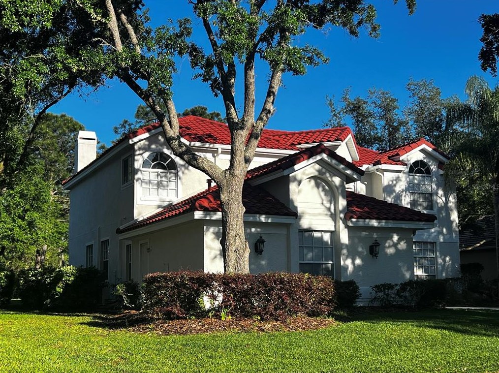 17813 Hickory Moss Pl, Tampa FL  33647-2285 exterior