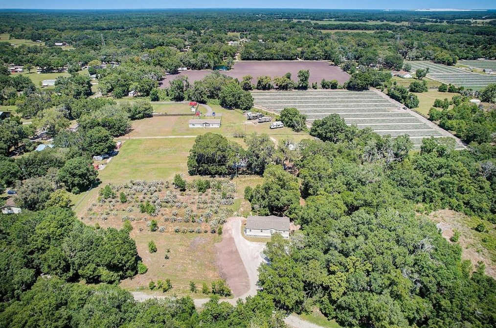 5302 Cougar Trail Ln, Plant City FL  33565-3597 exterior