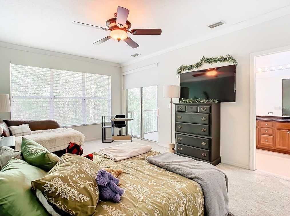 12419 Chase Grove Dr, Tampa FL  33626-1615 exterior