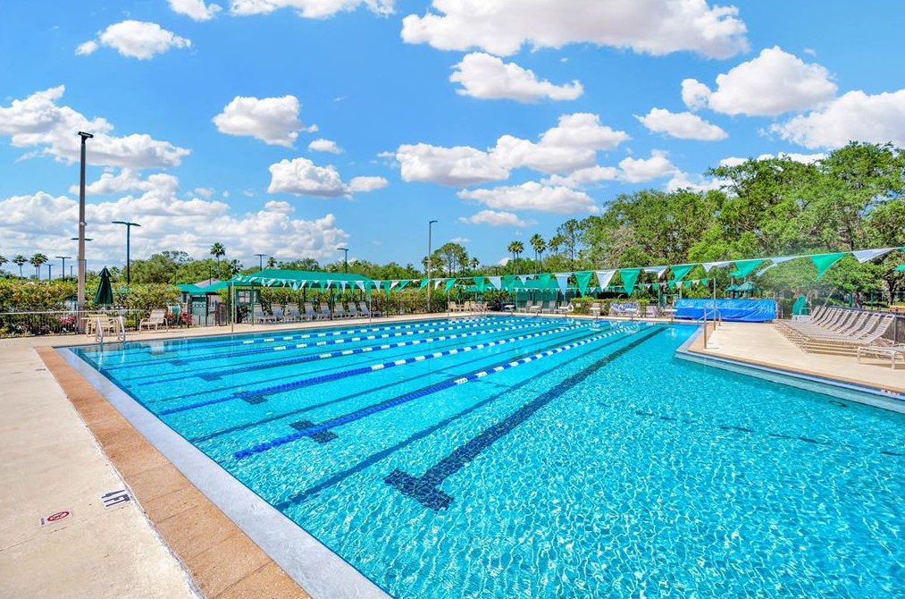 10254 Arbor Side Dr, Tampa FL  33647-2951 exterior