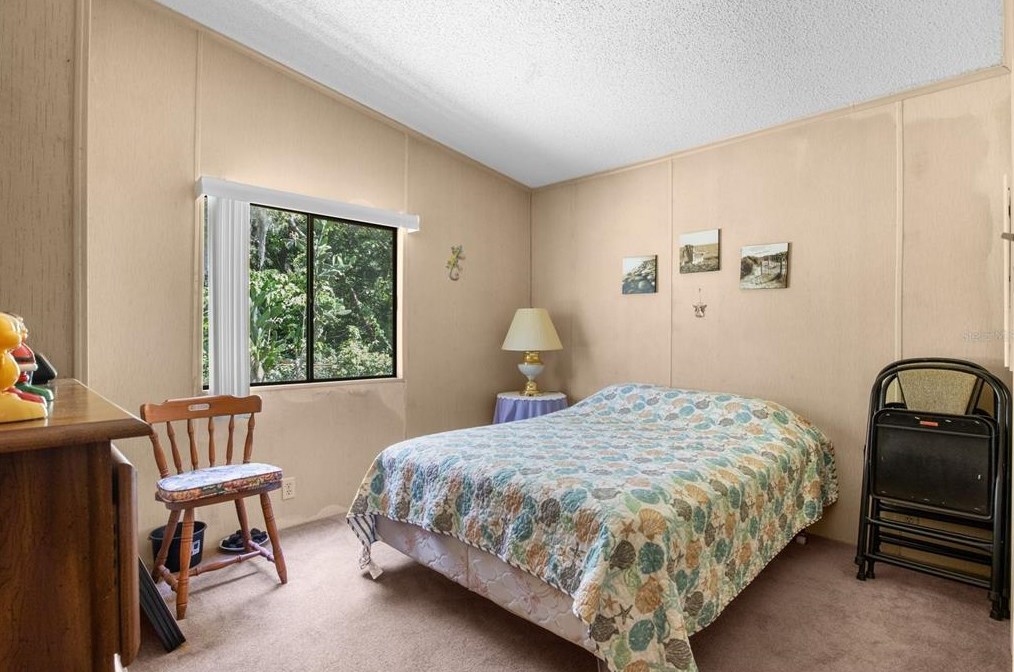 38760 Vulcan Cir, Zephyrhills FL exterior