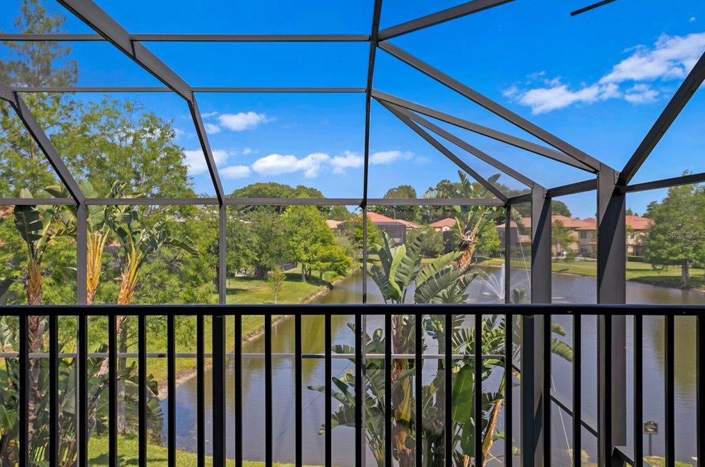 4489 Grand Preserve Pl, Palm Harbor FL  34684-1047 exterior