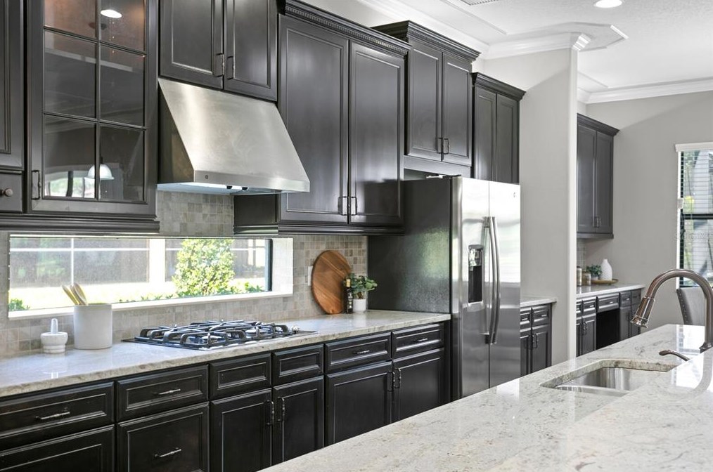 4489 Grand Preserve Pl, Palm Harbor FL  34684-1047 exterior