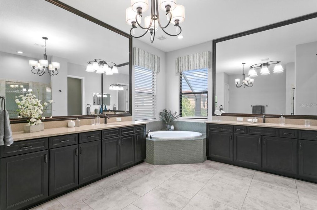 4489 Grand Preserve Pl, Palm Harbor FL  34684-1047 exterior