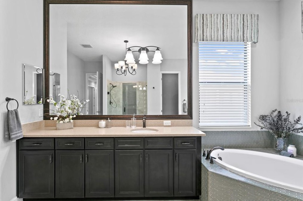 4489 Grand Preserve Pl, Palm Harbor FL  34684-1047 exterior