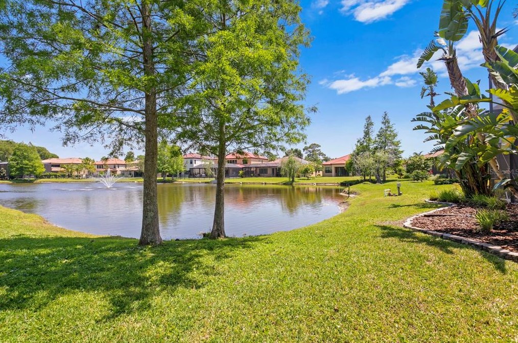 4489 Grand Preserve Pl, Palm Harbor FL  34684-1047 exterior