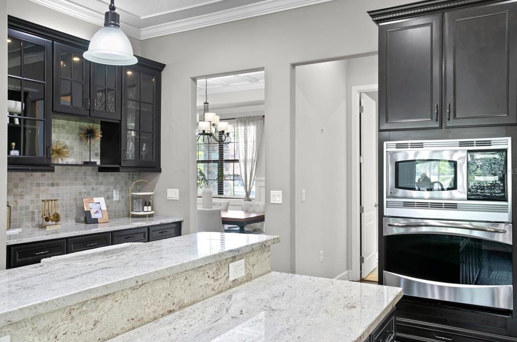 4489 Grand Preserve Pl, Palm Harbor FL  34684-1047 exterior