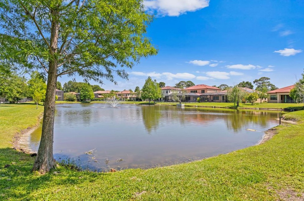 4489 Grand Preserve Pl, Palm Harbor FL  34684-1047 exterior