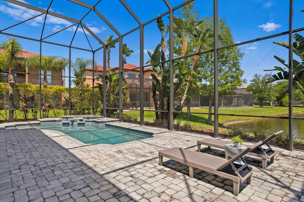 4489 Grand Preserve Pl, Palm Harbor FL  34684-1047 exterior