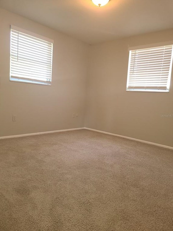 3451 Wiltshire Dr, Tarpon Springs FL  34691-1240 exterior