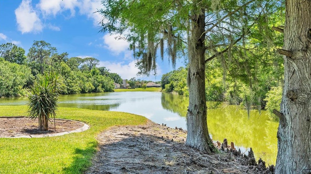 2701 Spg Mdw Dr, Plant City FL  33566-9618 exterior