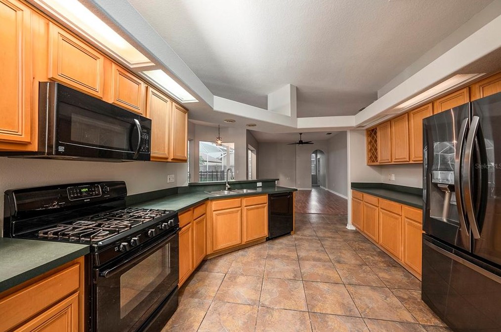 10012 Kingshyre Way, Tampa FL 33647-2875 exterior