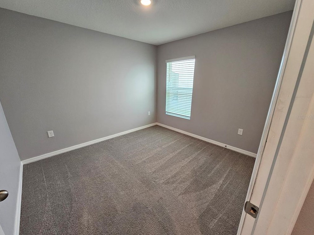 16851 Delia St, Wimauma FL  33598 exterior