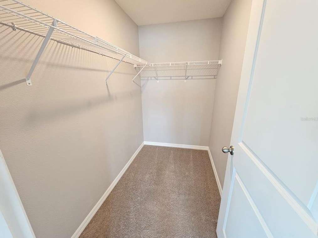 16851 Delia St, Wimauma FL  33598 exterior