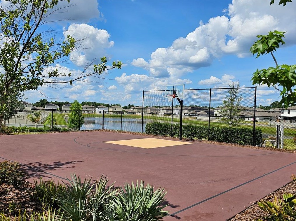 16851 Delia St, Wimauma FL  33598 exterior