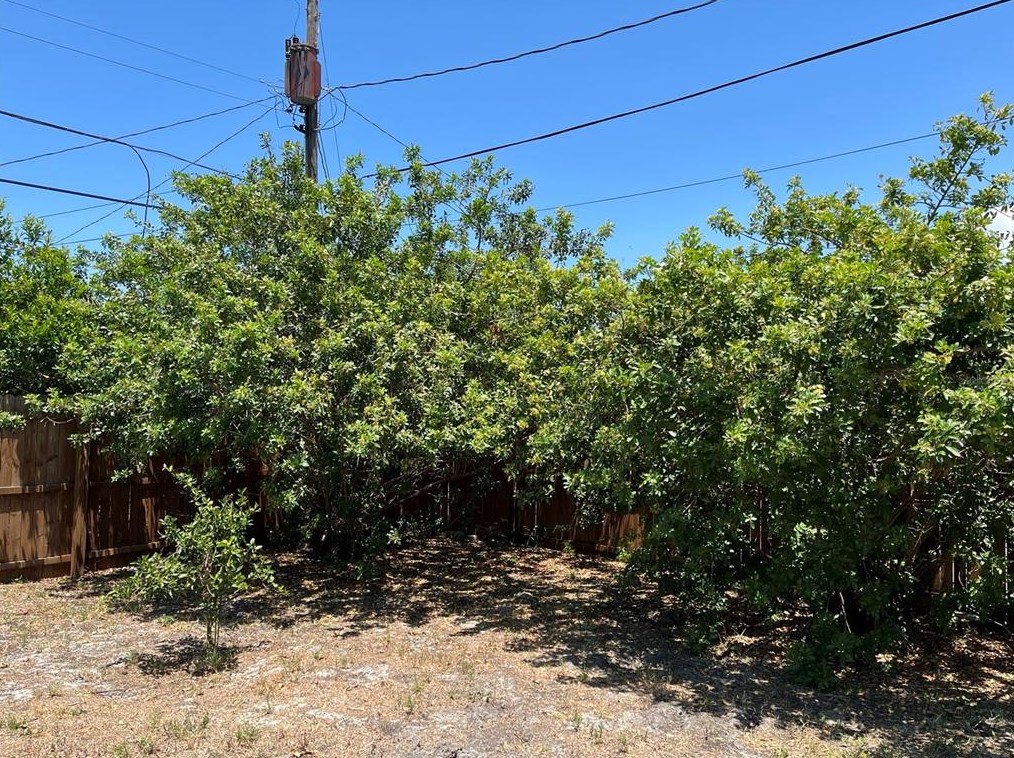 10434 Abelia Ct, Port Richey FL  34668-2801 exterior