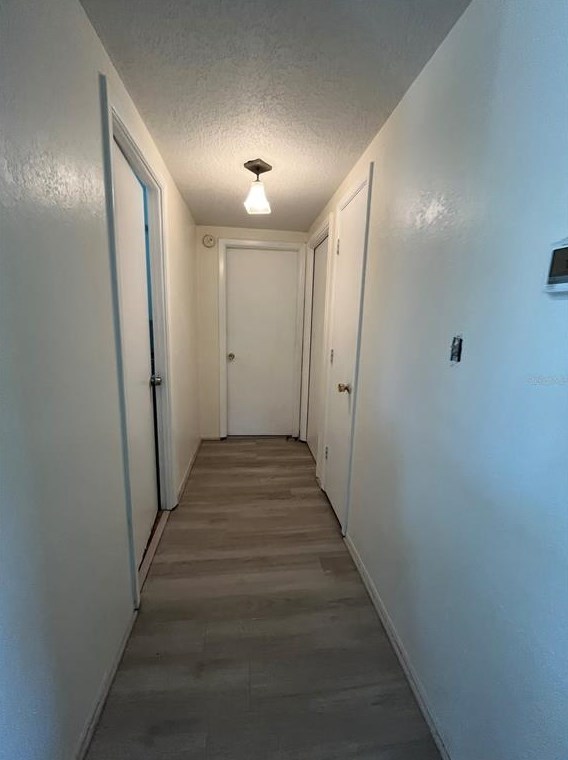 10434 Abelia Ct, Port Richey FL  34668-2801 exterior