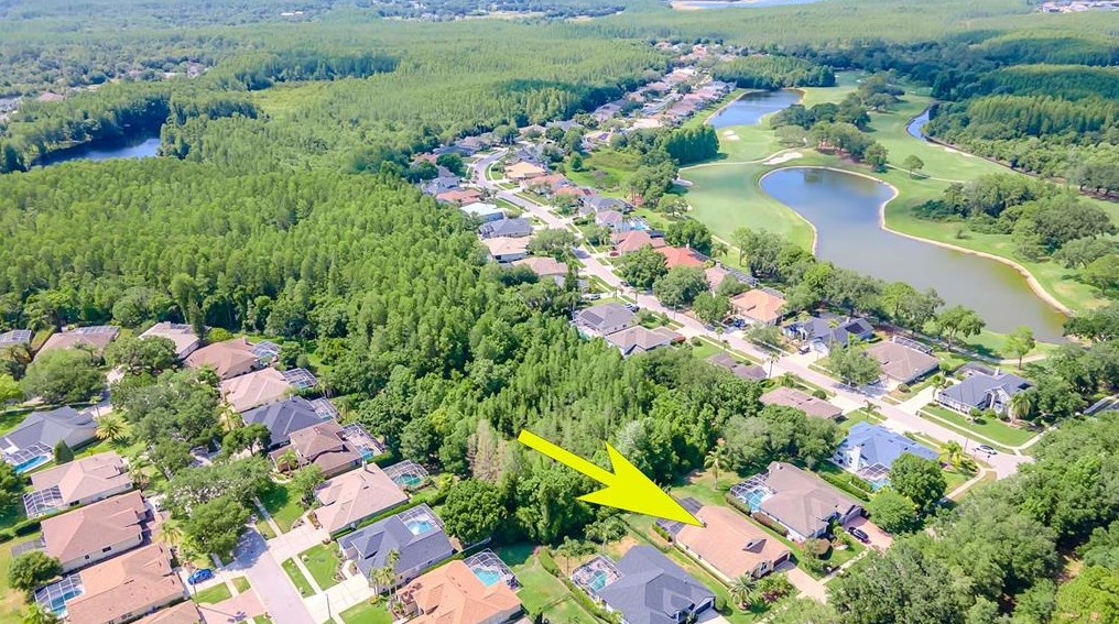 18806 Chemille Dr, Lutz FL  33558-2843 exterior