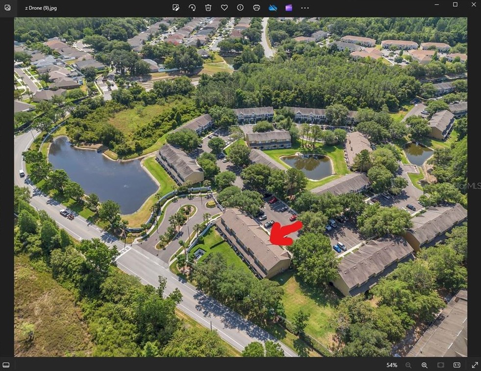 30233 Lacledes Ln, Zephyrhills FL  33543-7655 exterior