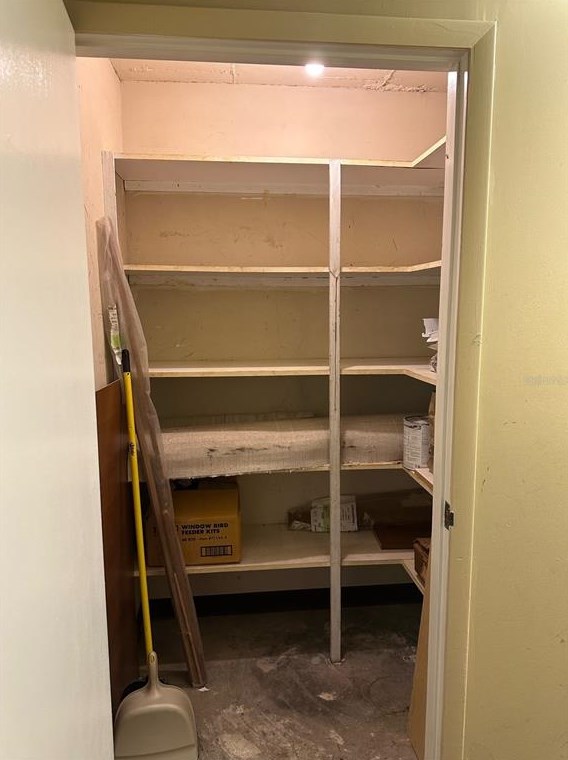 2413 Bayshore Blvd, Tampa FL  33629-7333 exterior