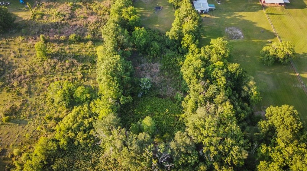 7803 Four Pines Rd, Plant City FL  33565-3129 exterior