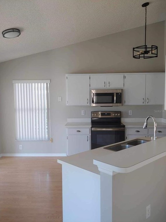 318 Caloosa Palms Ct, Ruskin FL 33573-6933 exterior