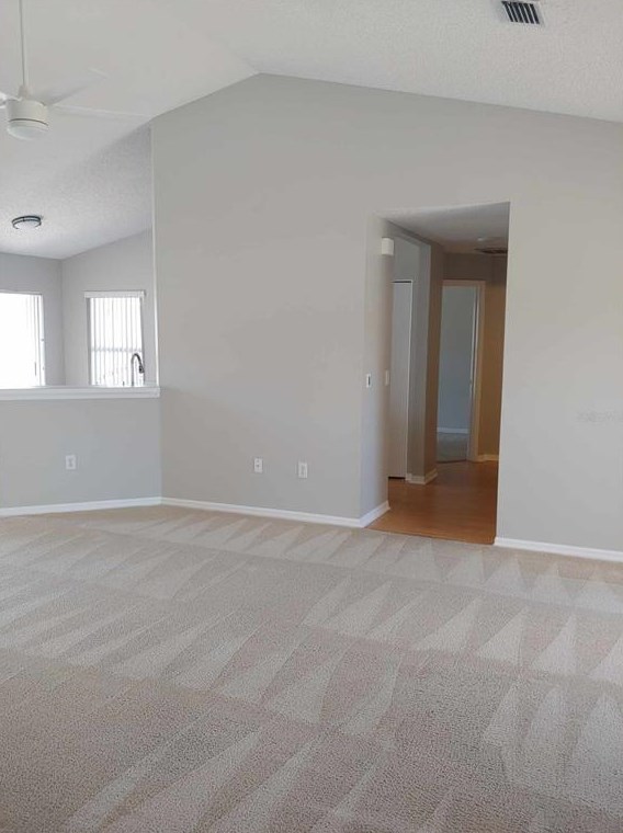 318 Caloosa Palms Ct, Ruskin FL 33573-6933 exterior