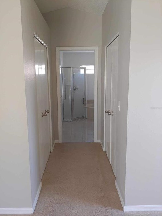 318 Caloosa Palms Ct, Ruskin FL 33573-6933 exterior