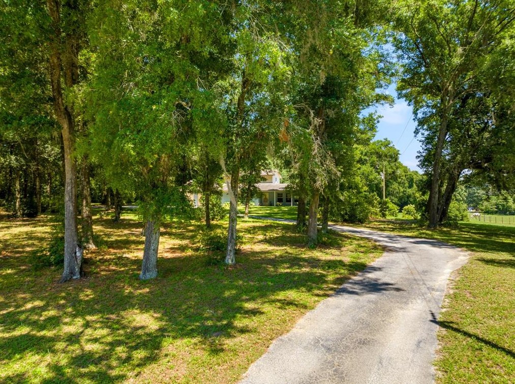 20830 Trilby Cemetery Rd, Dade City FL 33523-1337 exterior