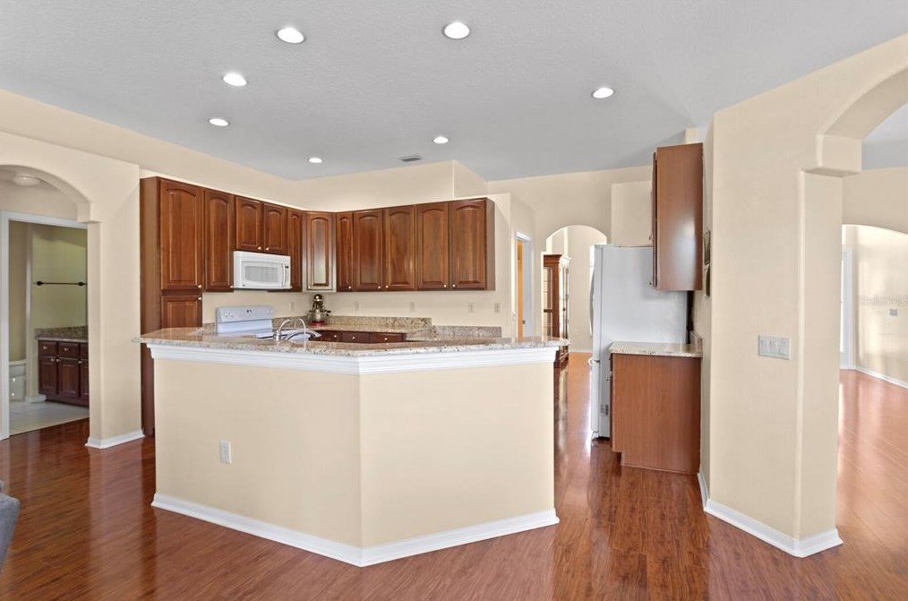 24704 Blazing Trl Way, Land O Lakes FL  34639-9585 exterior