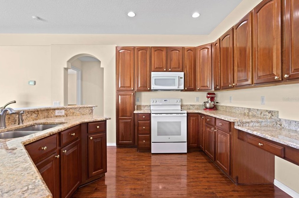 24704 Blazing Trl Way, Land O Lakes FL  34639-9585 exterior