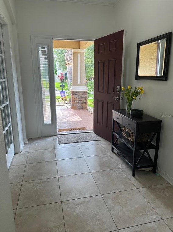 11410 Blue Crane St, Riverview FL  33569-2742 exterior