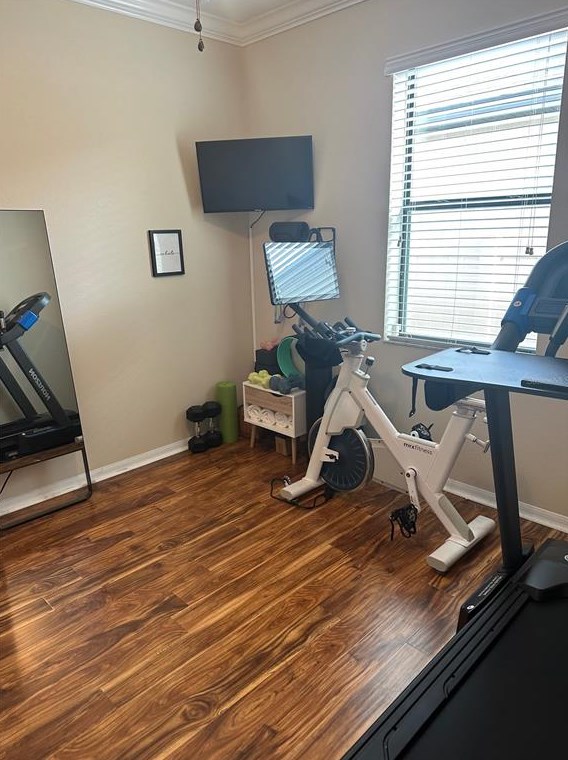 11410 Blue Crane St, Riverview FL  33569-2742 exterior