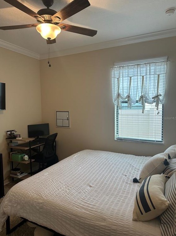 11410 Blue Crane St, Riverview FL  33569-2742 exterior